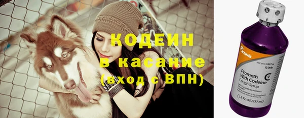apvp Лагань