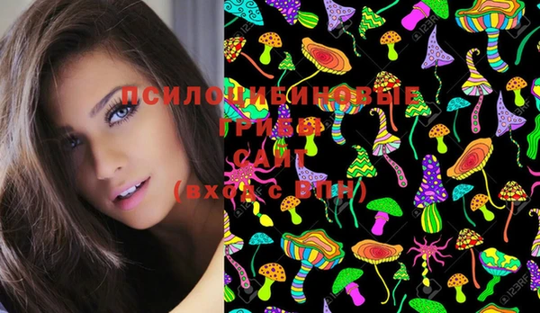 mix Лабытнанги