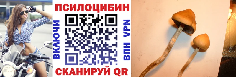 как найти   дарк нет телеграм  Галлюциногенные грибы Magic Shrooms  Кунгур 